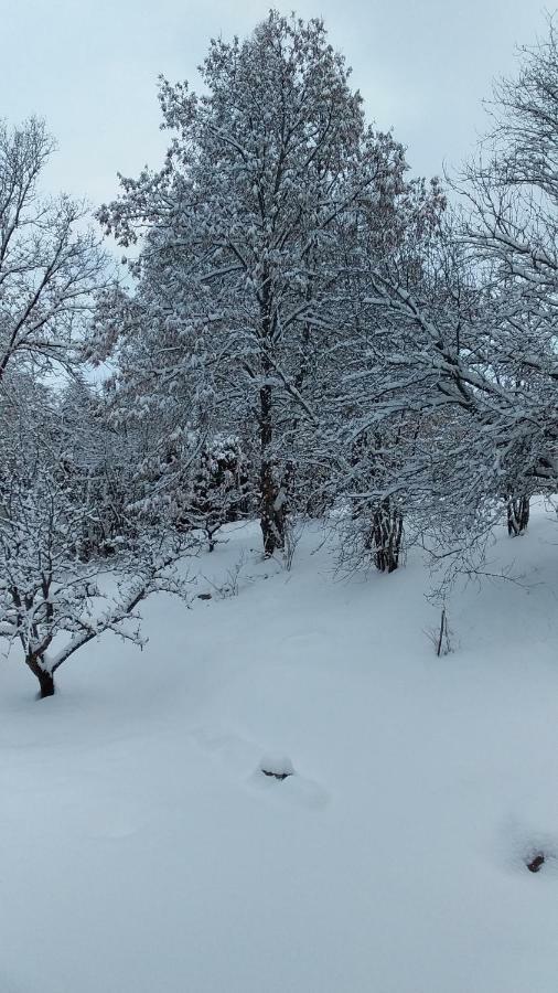 Saint-Jean-Saint-Nicolas Joli Studio Sympa מראה חיצוני תמונה